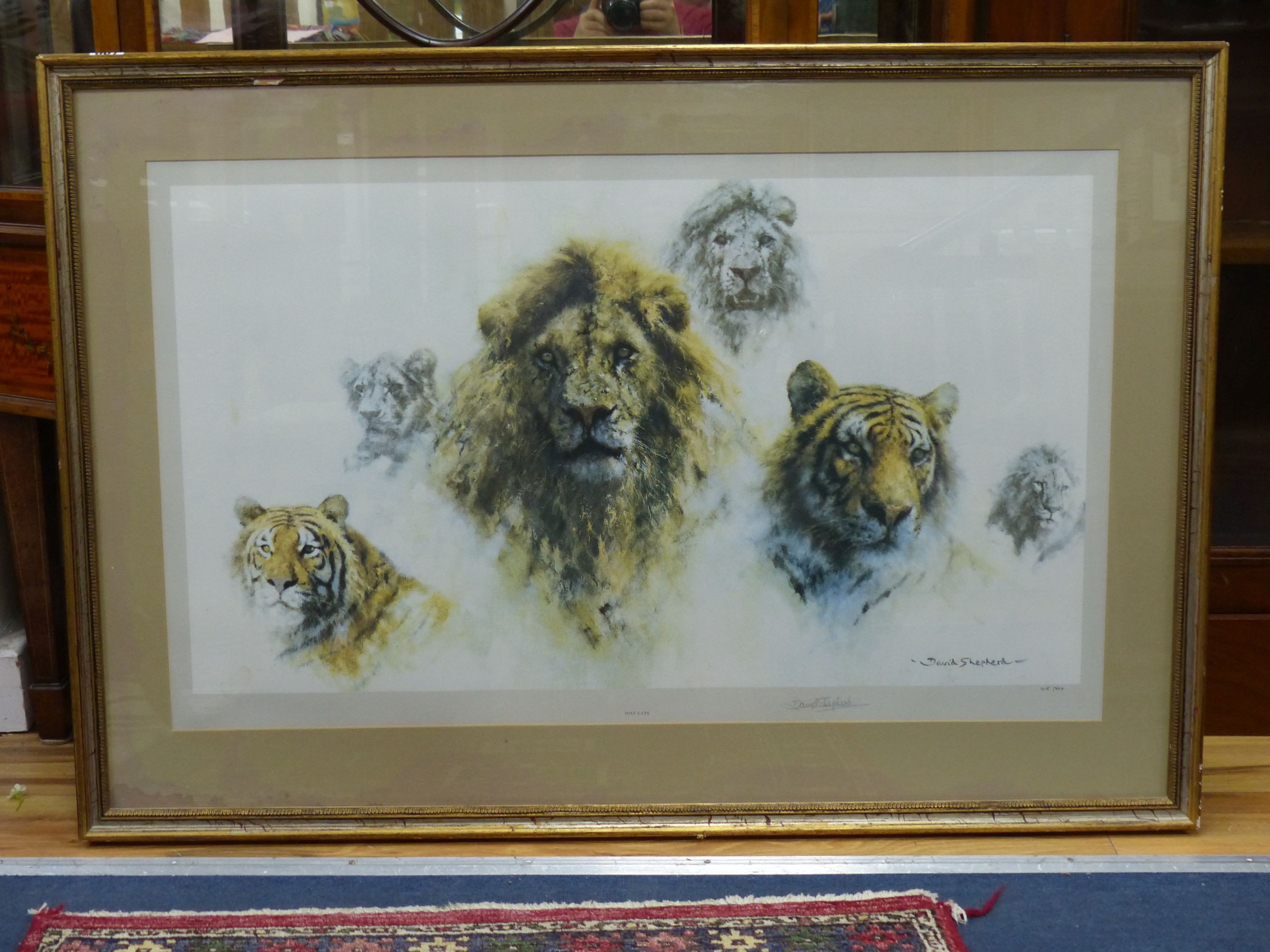 David Shepherd, limited edition print, 'Just Cats', signed in pencil, 615/850, overall 53 x 88cm